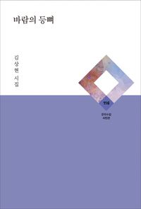 바람의 등뼈 : 김상현 시집 책표지
