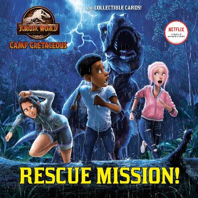 Rescue mission! 책표지