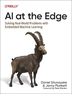 AI at the edge : solving real-world problems with embedded machine learning 책표지