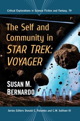 (The) self and community in Star Trek : Voyager 책표지
