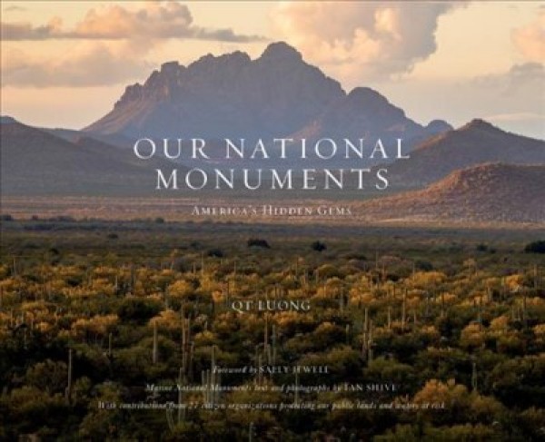Our national monuments : America's hidden gems 책표지