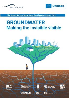 Groundwater : making the invisible visible 책표지