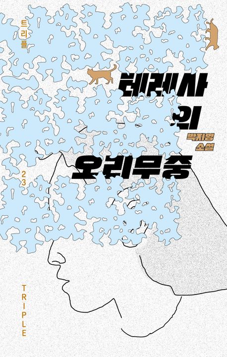 테레사의 오리무중 : 박지영 소설 책표지
