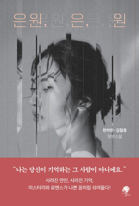 은원, 은, 원 : 한차현·김철웅 장편소설 책표지