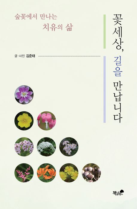 꽃세상, 길을 만납니다 : 숲꽃에서 만나는 치유의 삶 책표지
