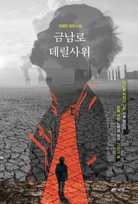 금남로 데릴사위 : 최영만 장편소설 책표지