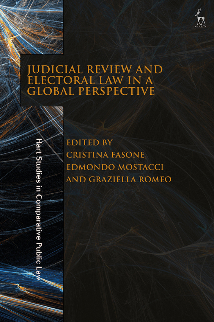 Judicial review and electoral law in a global perspective 책표지