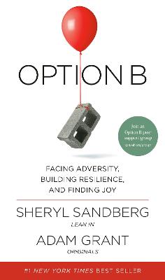 Option B : facing adversity, building resilience, and finding joy 책표지