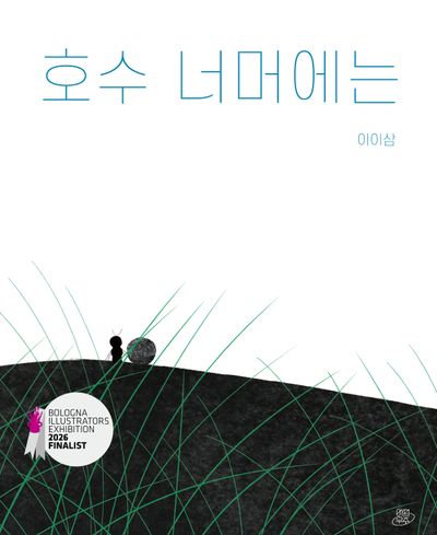 호수 너머에는  책 표지