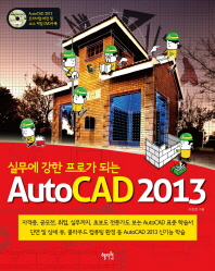 (실무에 강한  프로가 되는) auto CAD 2013 책표지