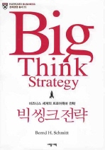 빅 씽크 전략 : 비즈니스 세계의 트로이목마 전략 책표지